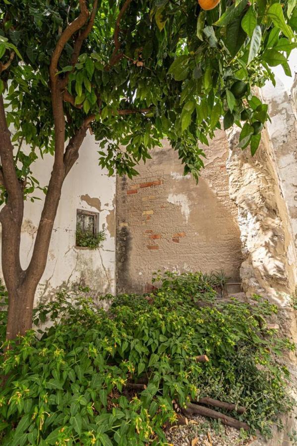 La Casa De Los Arcos - Casco Historico - Parking Opcional 헤레스 외부 사진