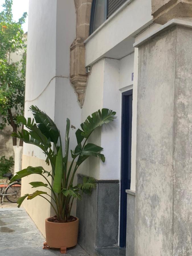 La Casa De Los Arcos - Casco Historico - Parking Opcional 헤레스 외부 사진